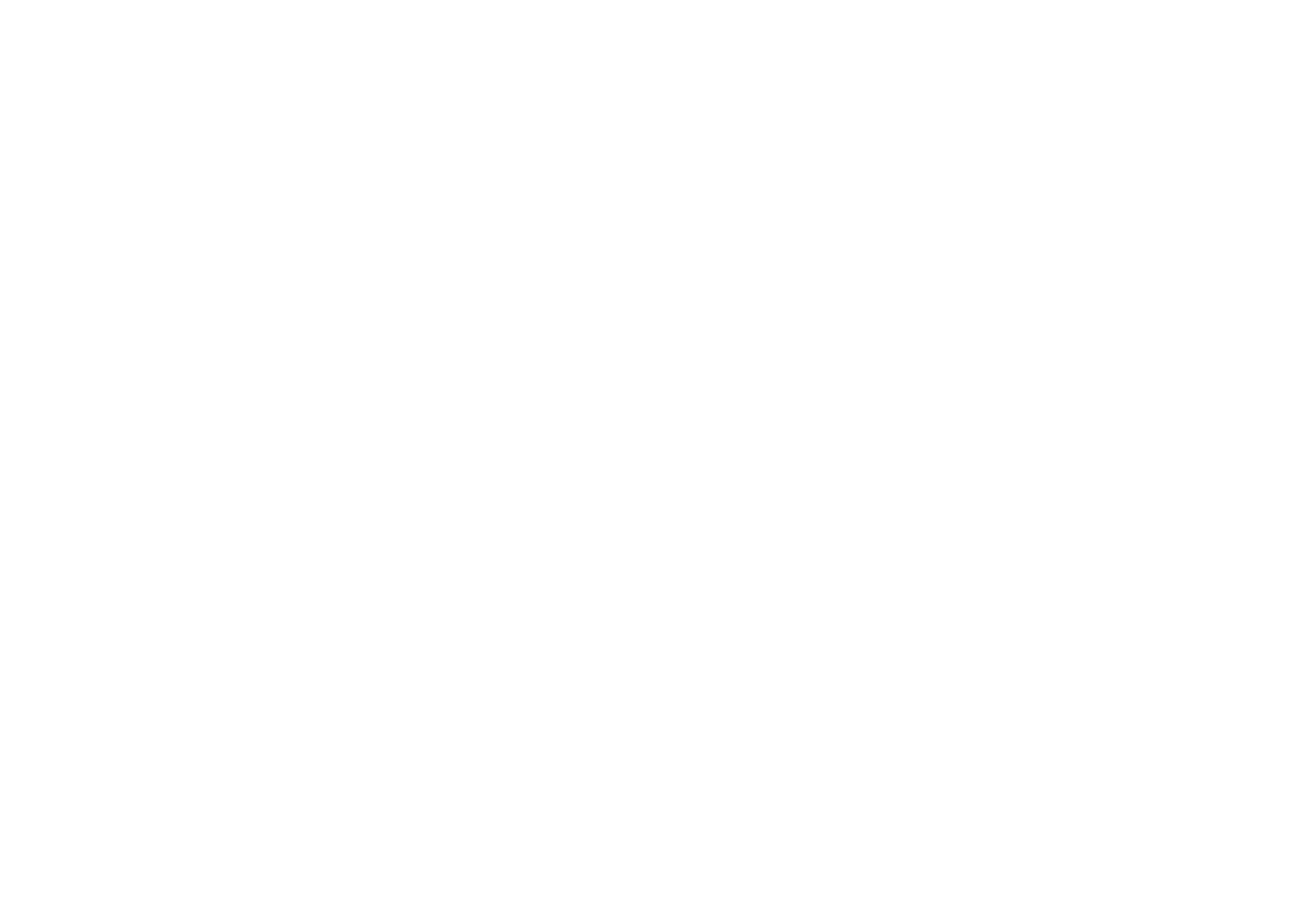 American Aerobic Association International
