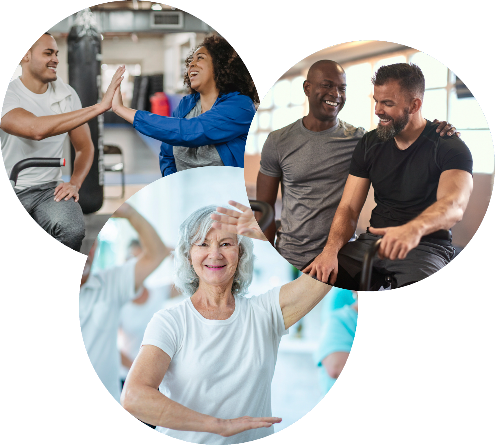 AAAI Certified Personal Trainers AAAI Certified Personal Trainers